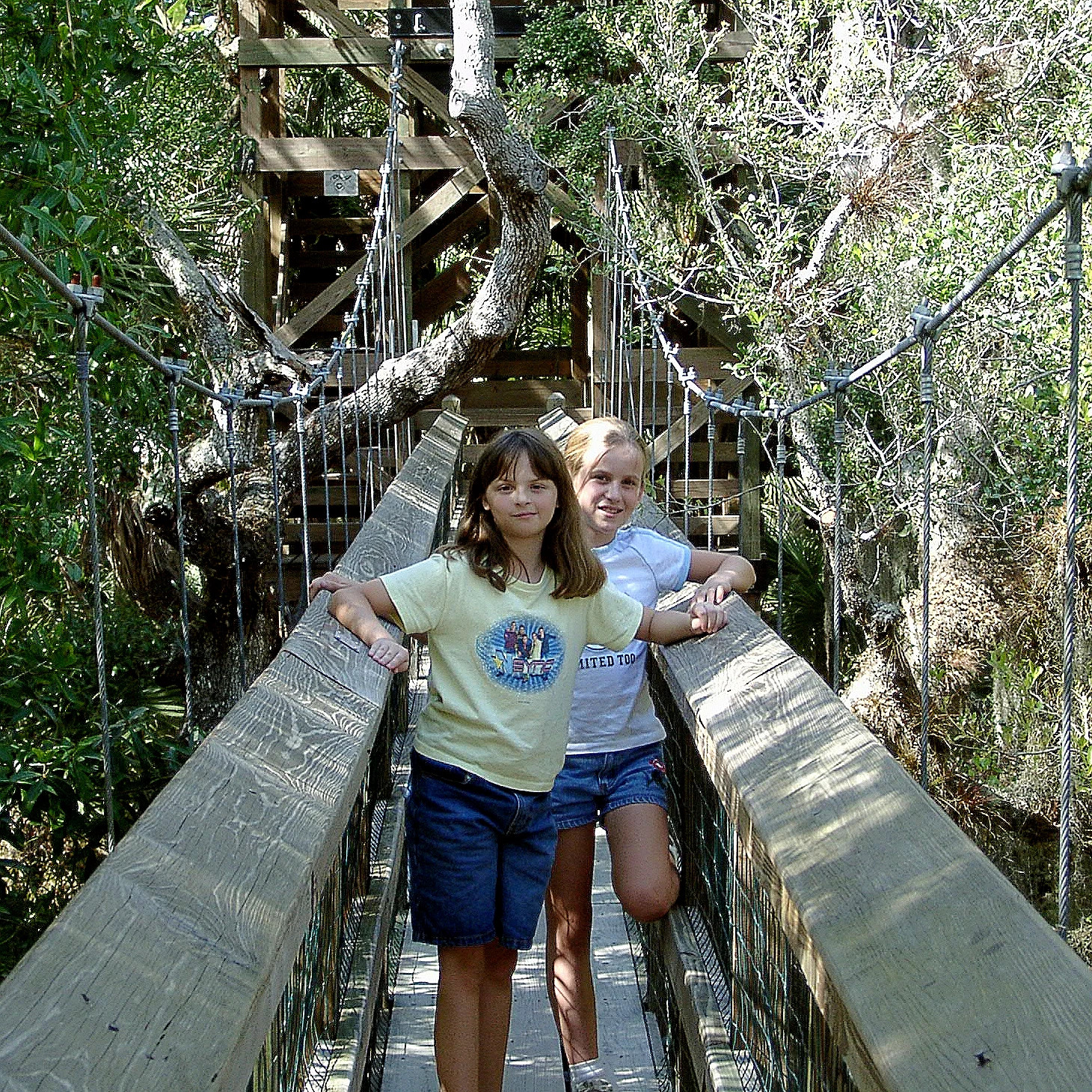 canopy walk